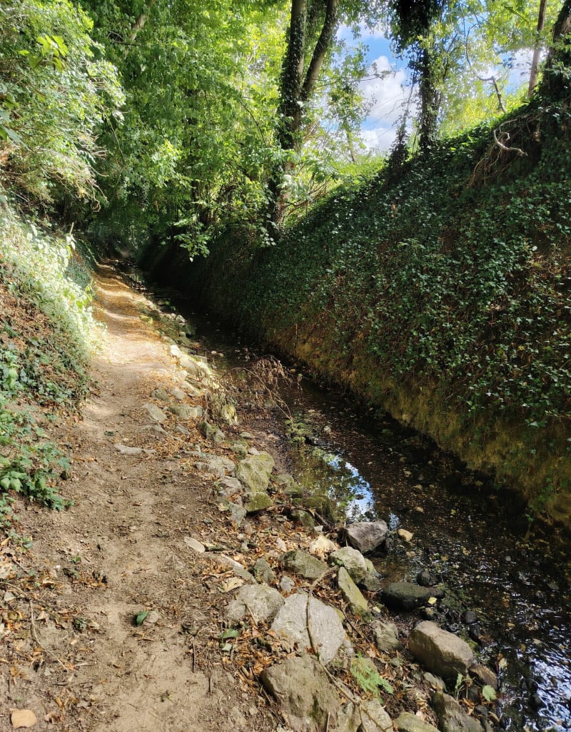 La Coqueline depuis Auchy-au-bois - Auchy-au-Bois