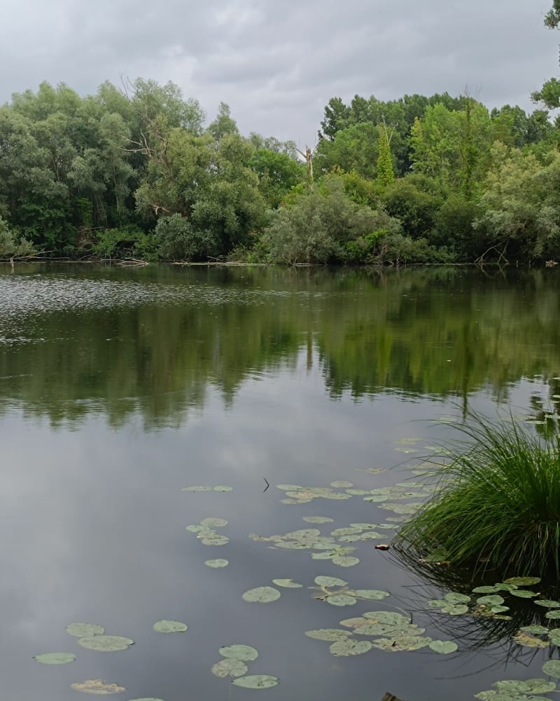 Balade sympa à Amiens et Hortillonnages - Amiens