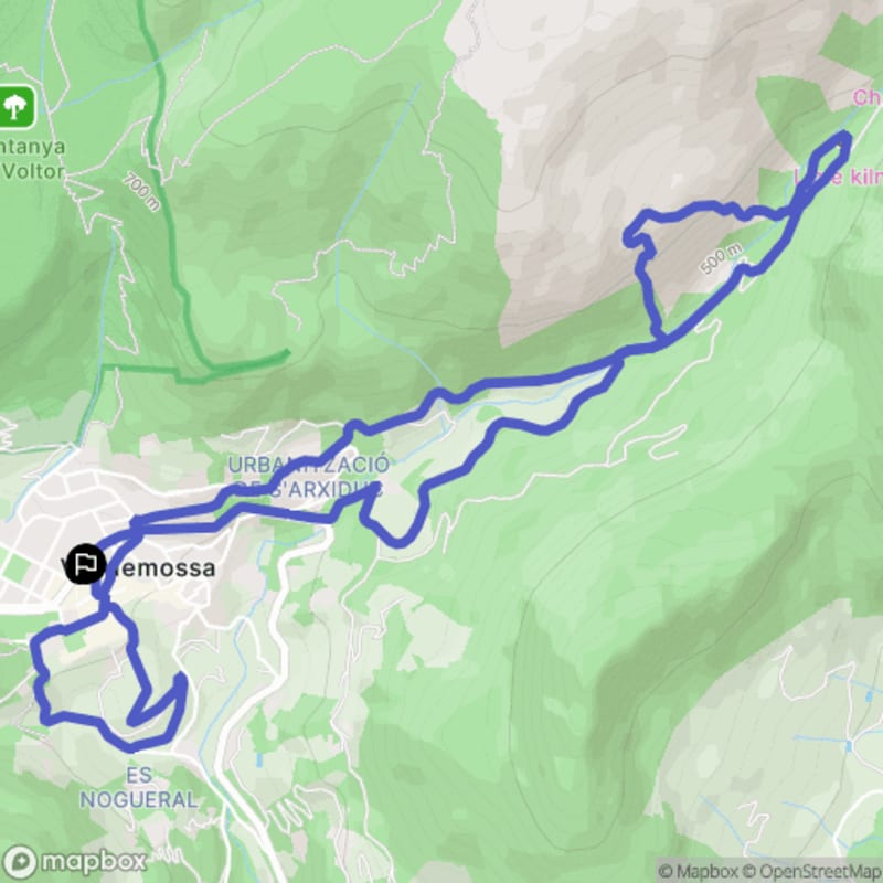 Randonnée à Valldemossa : Découverte des paysages et points de vue - Valldemossa