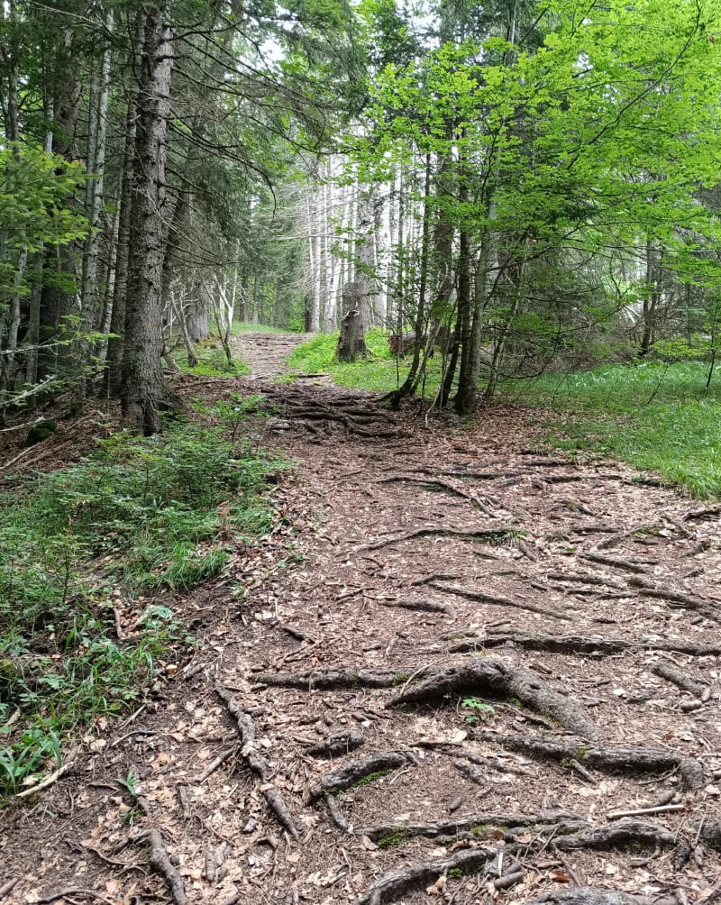 Petit tour des crêtes de Culées - Seytroux