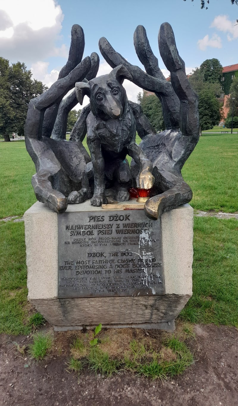 Staromiejska włóczęga - Kraków