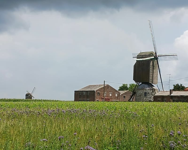Rondrit Emelgem- Meulebeke- St.Eloois-Vijve- Kuurne- Emelgem - Izegem