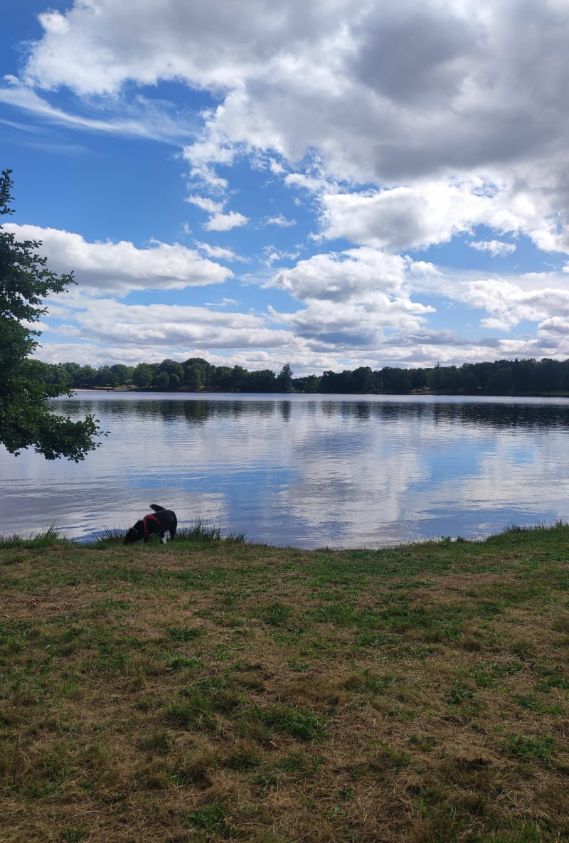Lac de Bournazel - Saint-Jal