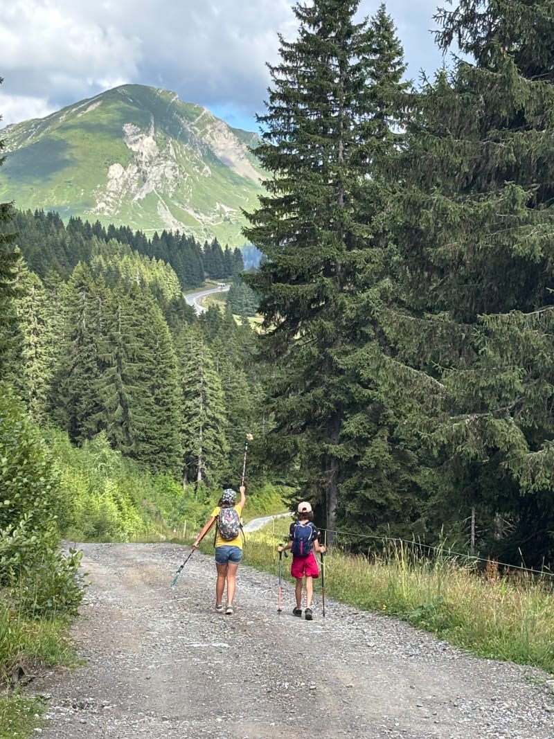 Crêtes de super Morzine - Morzine