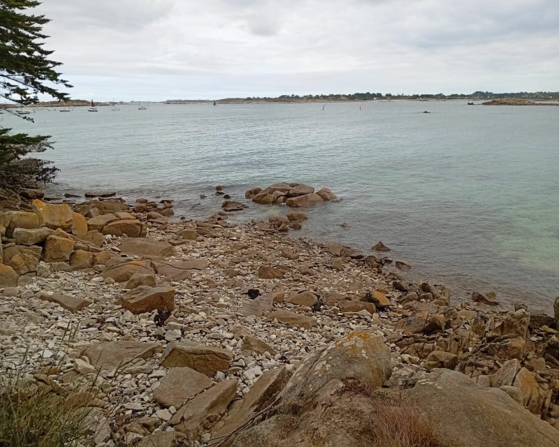 Balade à l'Île-Grande - Pleumeur-Bodou