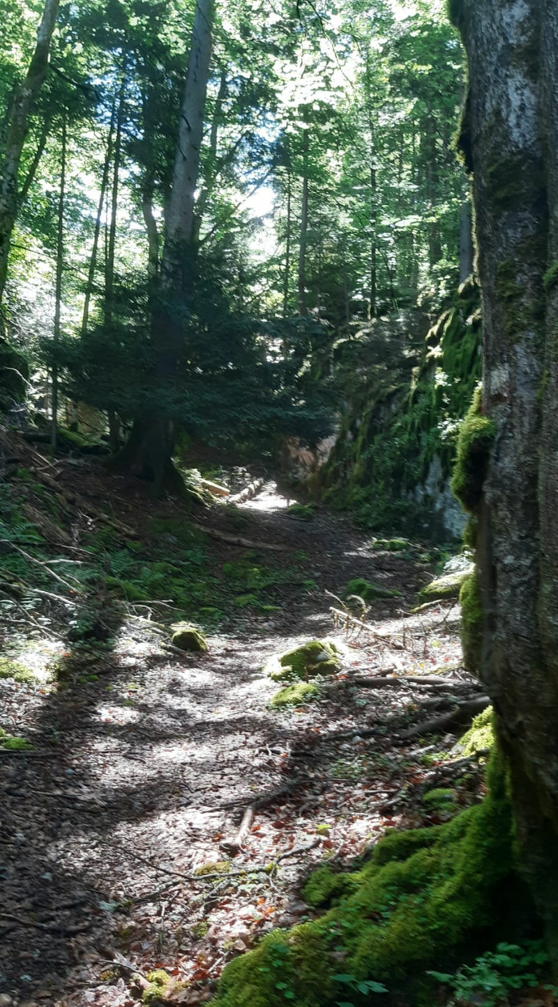 Boucle en aplomb de la vallée de l'Arsenal - Arâches-la-Frasse