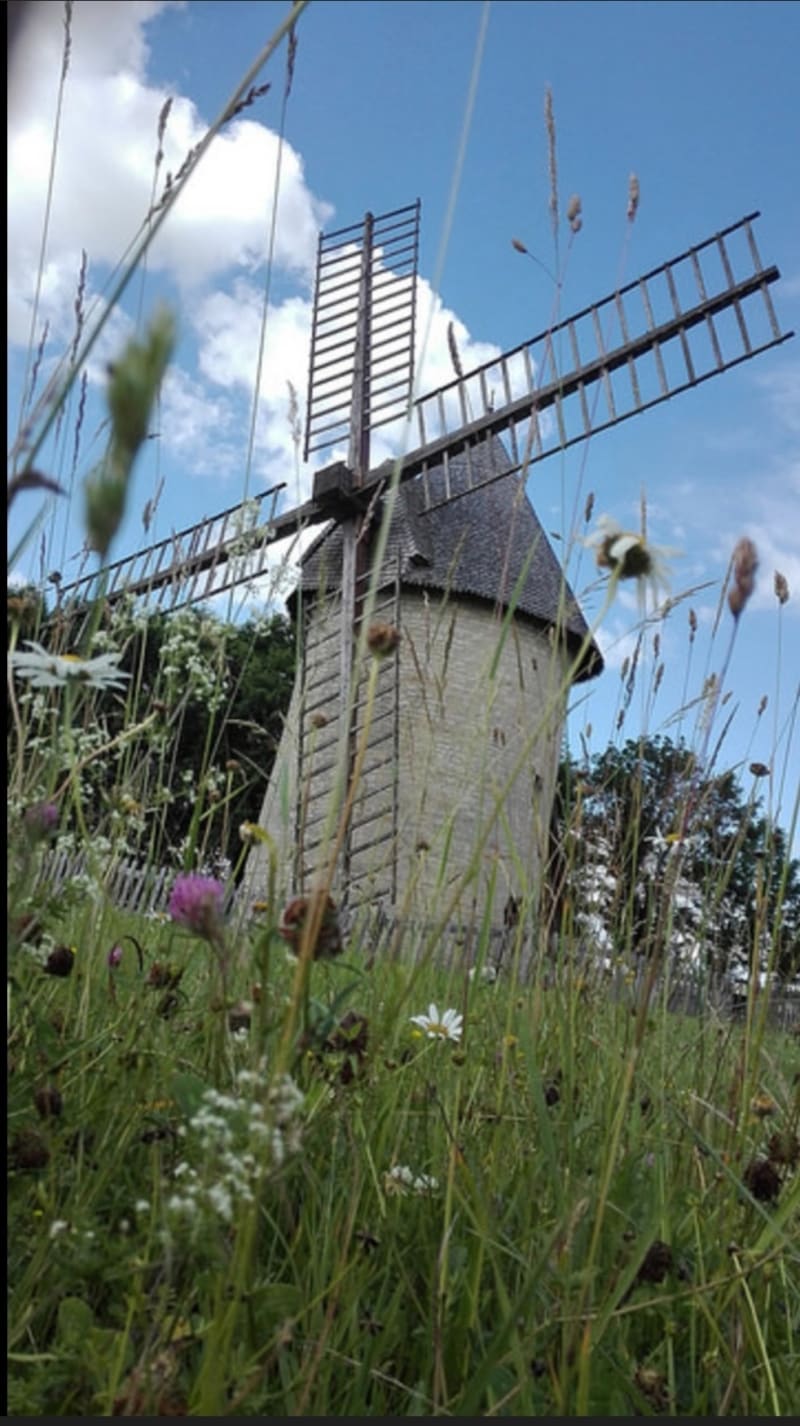 Du moulin à l'étang des 3 fontaines - Villefagnan