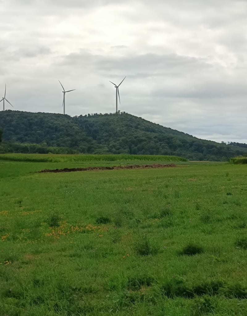 A la recherche de la Tour des bois - La Tour-de-Sçay