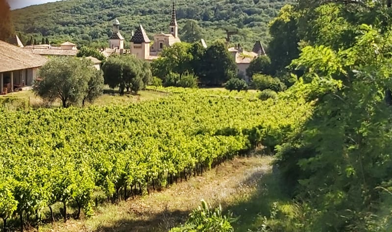 Balade dans le Gard rhodanien - Lapalud