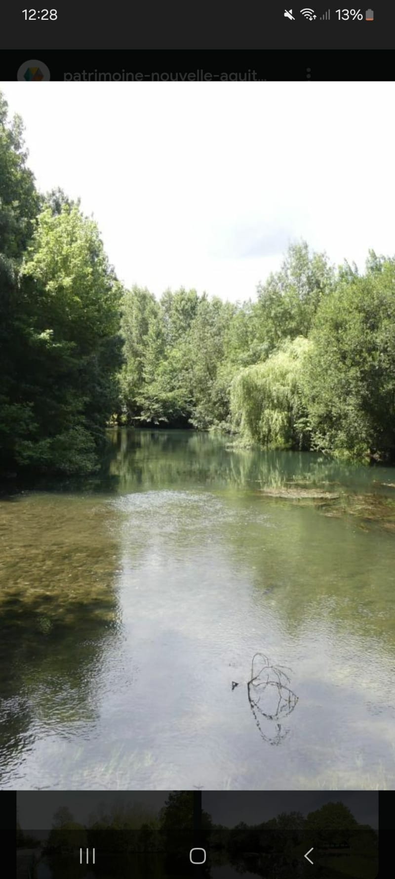 Entre Deux-Sèvres et Charente-Maritime - Villeneuve-la-Comtesse