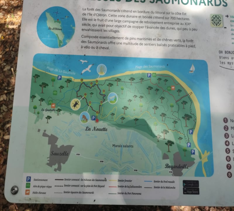 Balade au départ la Nouette - Saint-Georges-d'Oléron