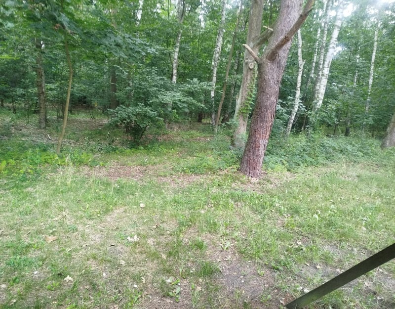 Ścieżka Jantar -Mikoszewo 12km - Jantar