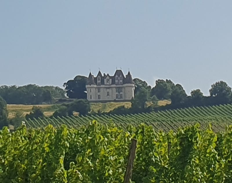 Au cœur des vignes à Gardonne, dans le Périgord - Gardonne