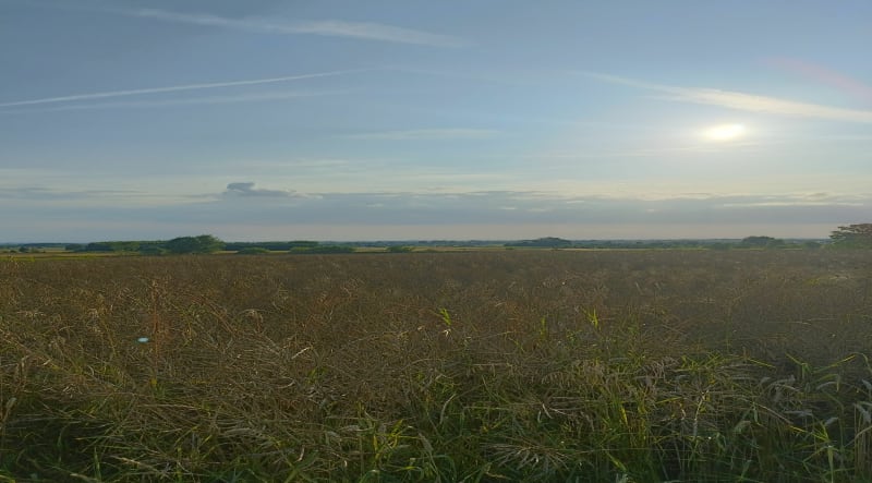 Z Pogórskiej Woli do Tarnowa - Pogórska Wola