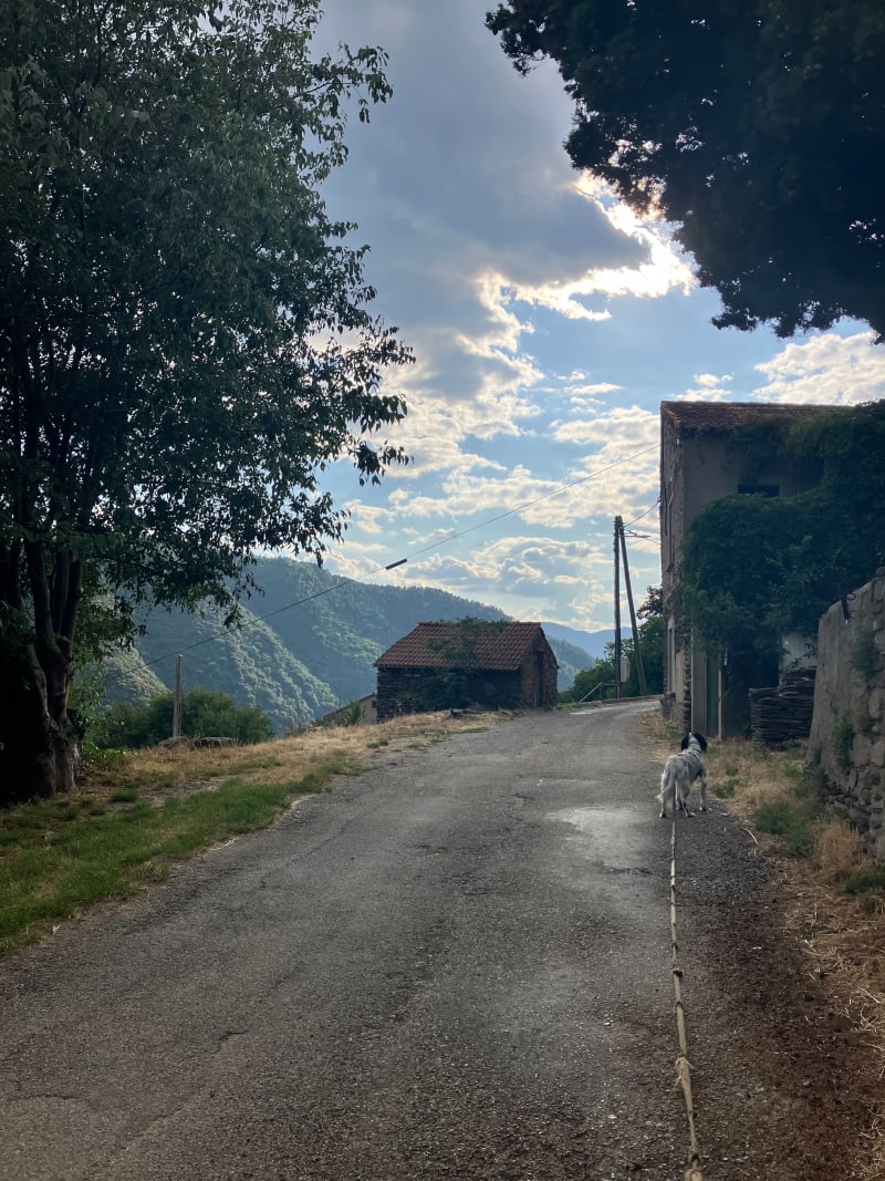 Boucle par les Fontoux, autour de Malarce-sur-la-Thines - Malarce-sur-la-Thines
