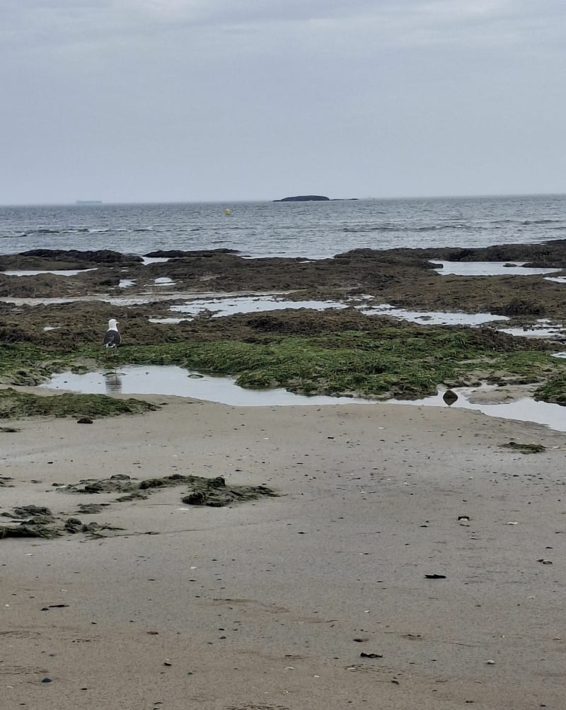 Belle promenade côtière à Pornichet - Pornichet