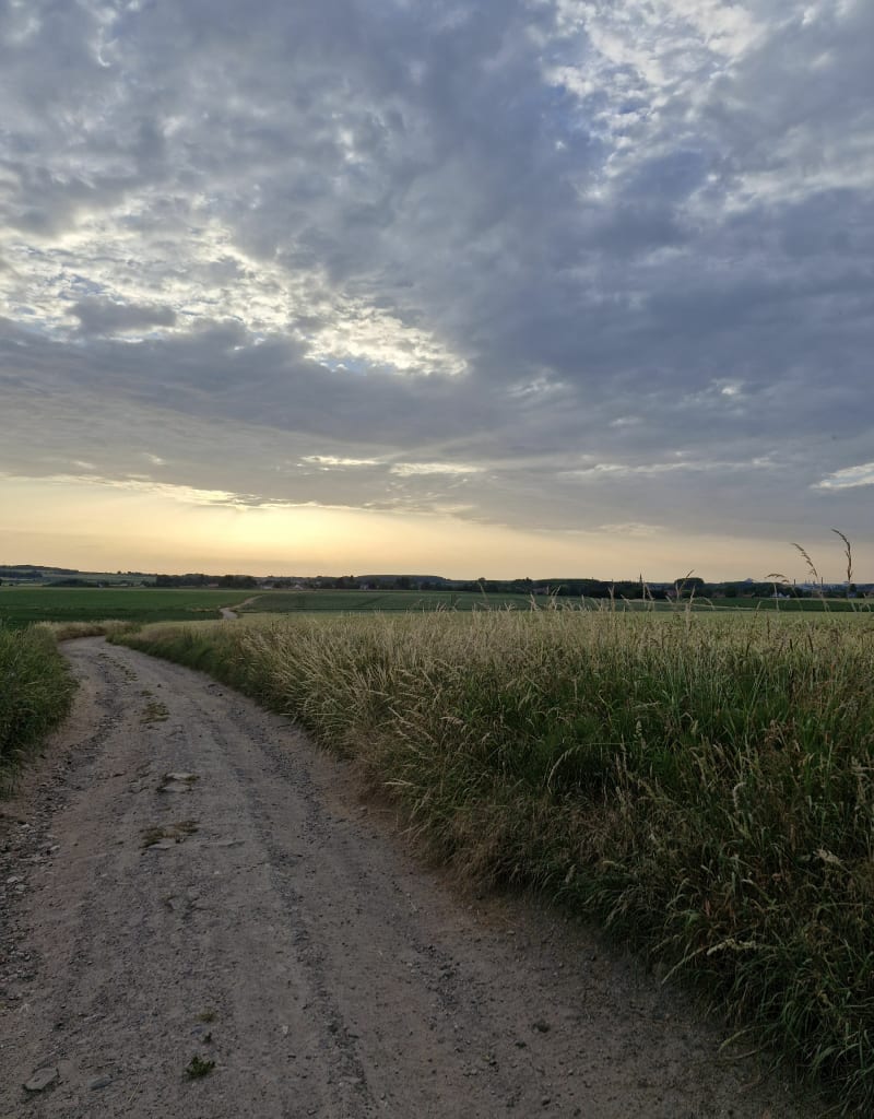 Route des champs - Lapugnoy