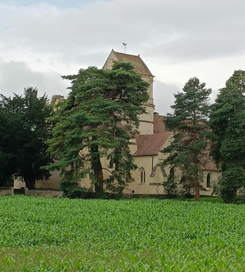 Randonnée à Hénonville - Hénonville