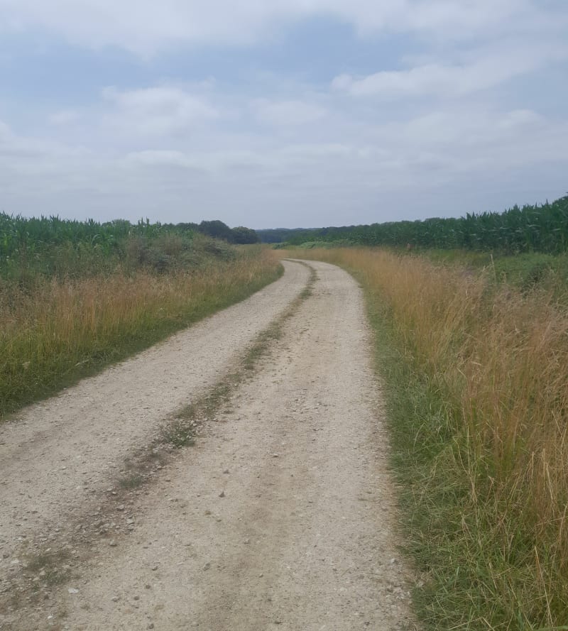 Autour du Luy - Lacrabe