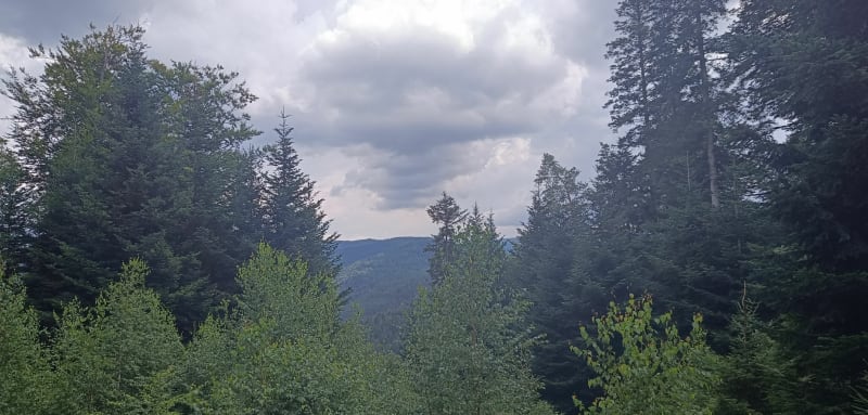 Rando Troisfontaines Walcheid - Troisfontaines