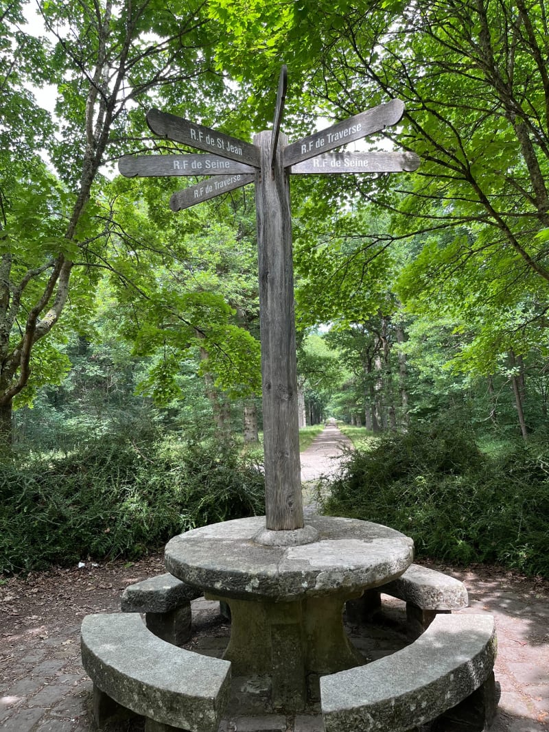 Savigny, Nandy, forêt de Rougeau - Savigny-le-Temple