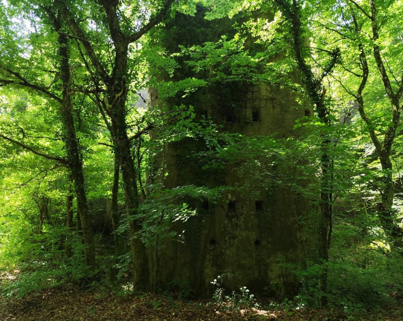 Ouvrage du bois de la Dame - Ars-sur-Moselle