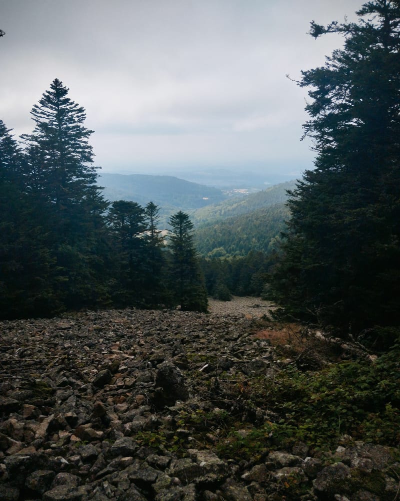 Boucle autour de la Jasserie, et Crêt de la Perdrix - Colombier