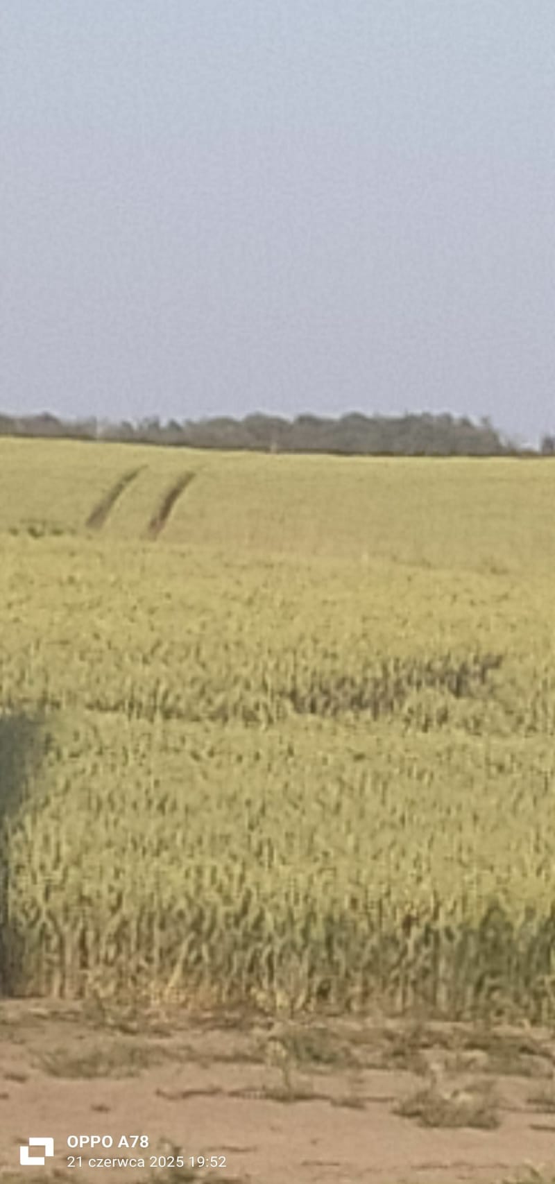Zwykła przejażdżka rowerowa - Moczkowo
