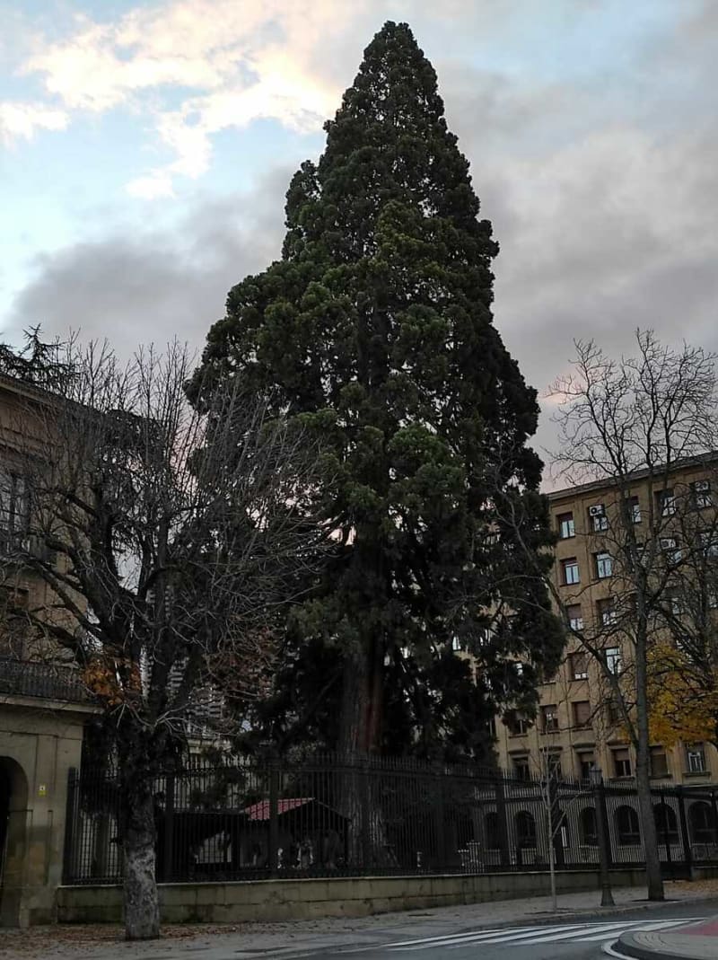 Randonnée urbaine à Pamplona/Iruña: Découverte de Txantrea et ses environs - Pamplona