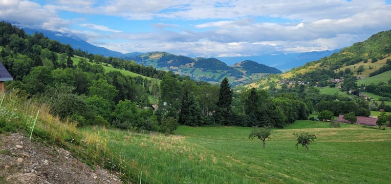 En bas du Barioz et Marais des Bruns - Theys