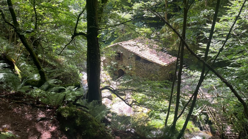 Boucle des trois moulins et des hameaux à Burret - Burret