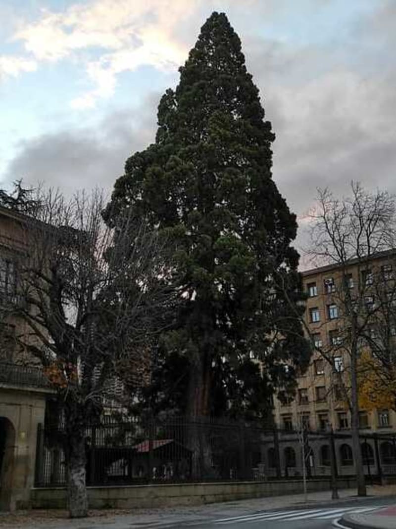 Randonnée urbaine à Pamplona: Découverte des sites emblématiques au départ de Txantrea - Pamplona