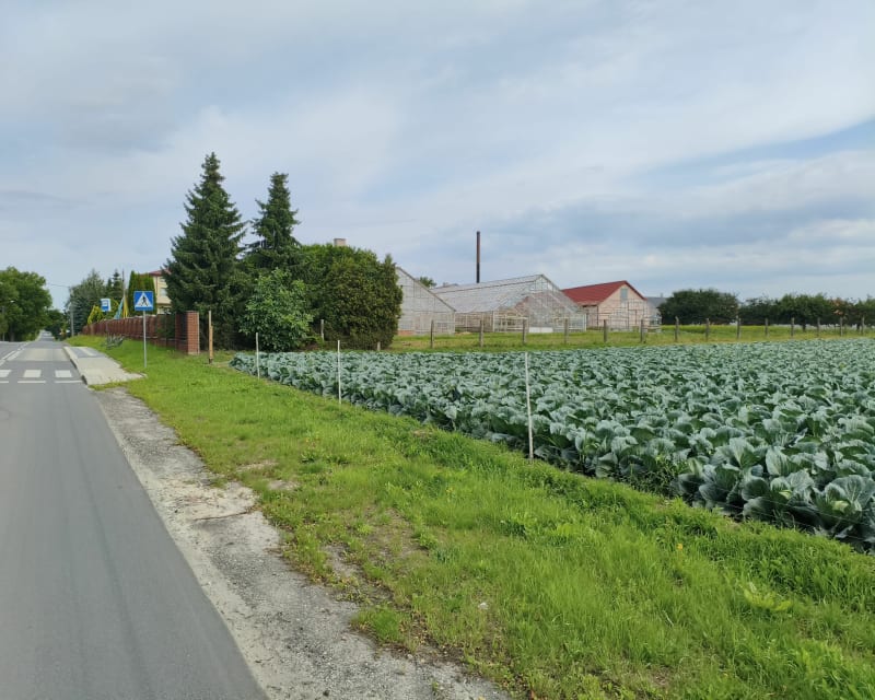 Trasa objazdowa wzniesienia łódzkie - Andrespol
