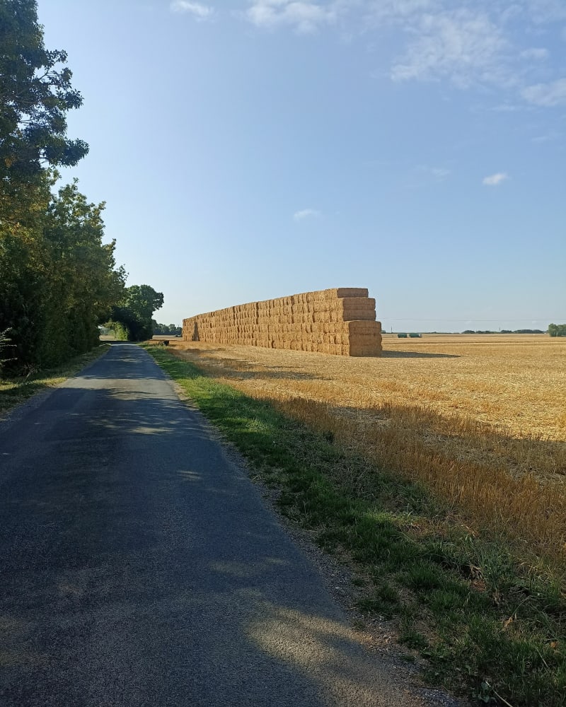 De Brassepot jusqu'à la route de Saint-Christophe - Aigrefeuille-d'Aunis