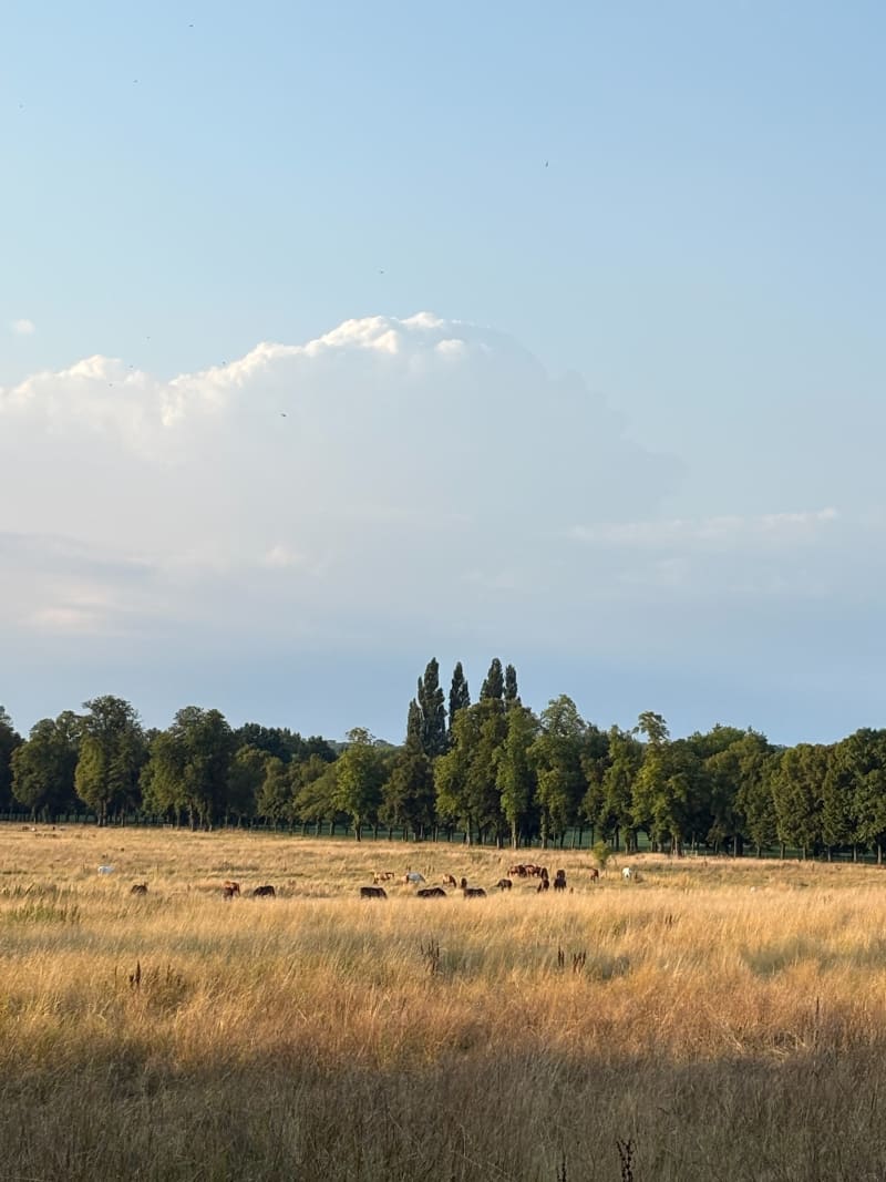 Balade par la porte de la Reine et Grand Canal - Le Chesnay-Rocquencourt