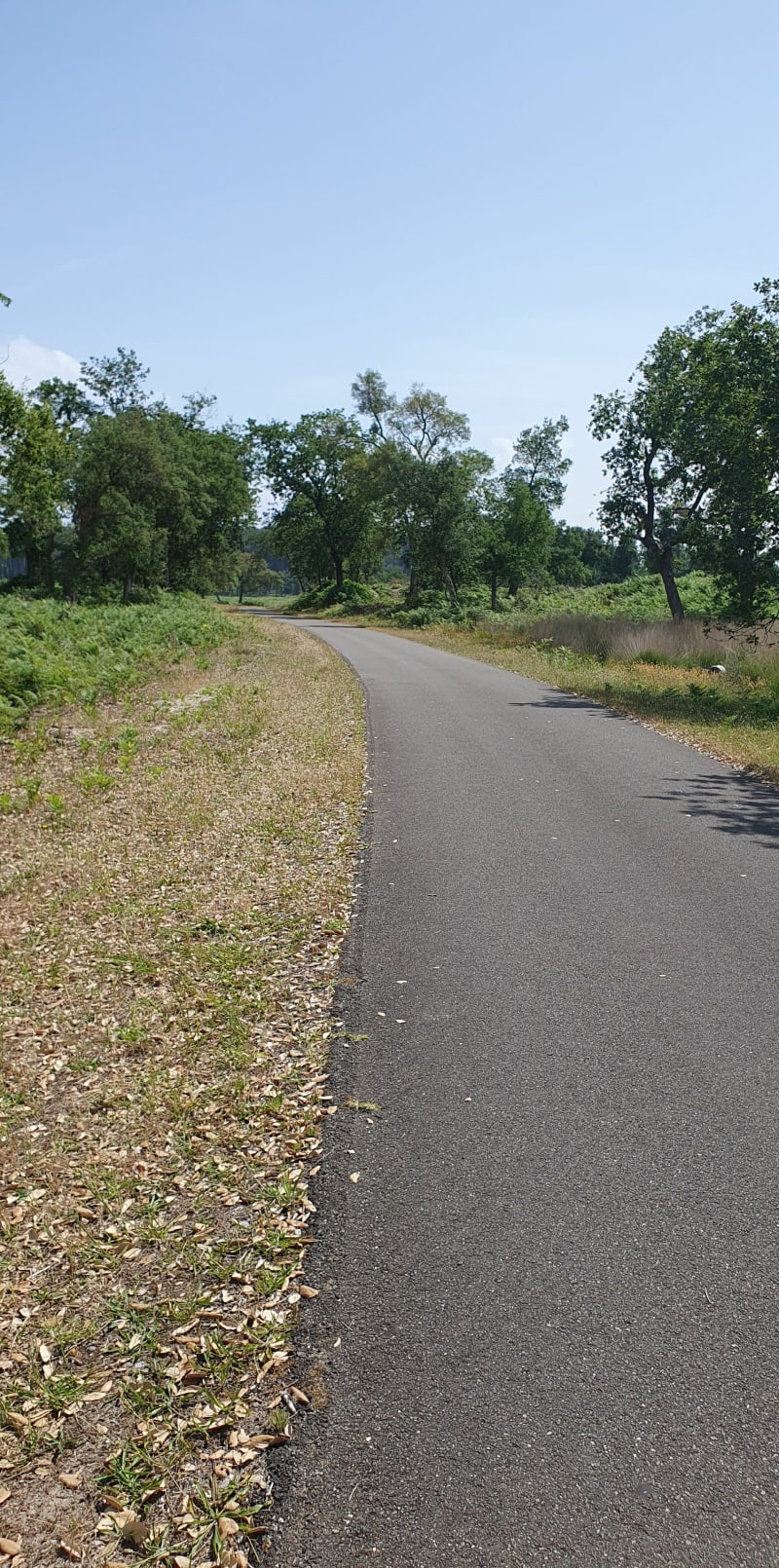 Balade à pieds ou vélo depuis Soustons - Soustons