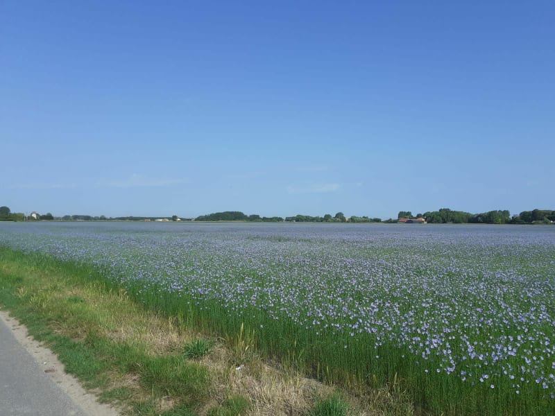 Oye-plage-Calais plage-Oye-plage - Oye-Plage