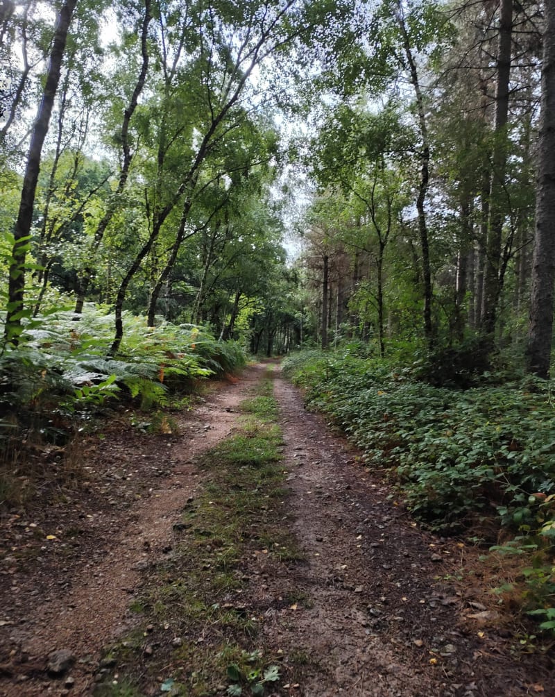 Randonnée découverte depuis Lolon - Saint-Maur-sur-le-Loir