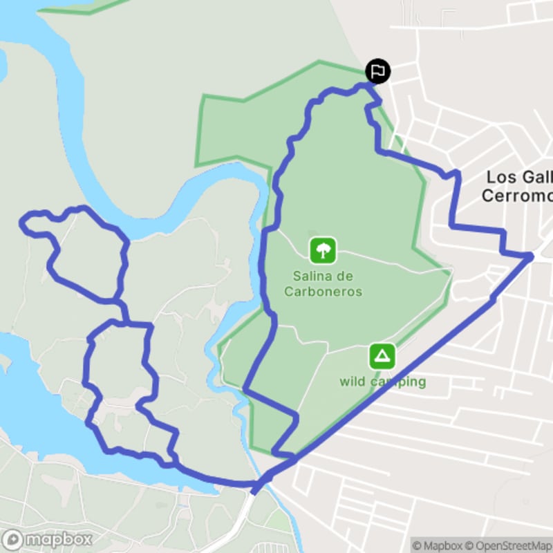 Randonnée à Chiclana de la Frontera depuis Los Gallos-Cerromolino - Chiclana de la Frontera