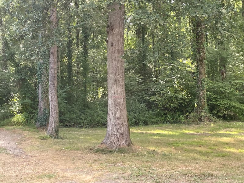 Bois de Pardies et le Bédat - Pardies