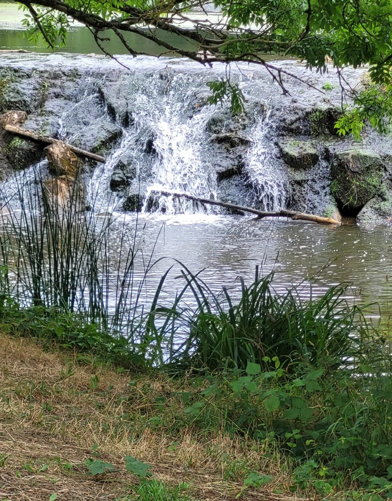 Les rives de la Laye - Autour de la Landrière - Bournezeau