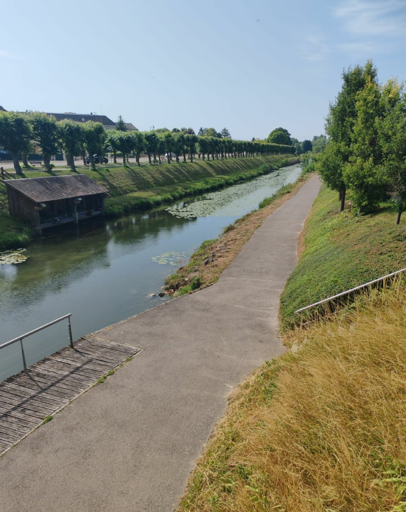 Balade sur la V33 vélo route de Mery s/ Seine à Savieres AR - Méry-sur-Seine