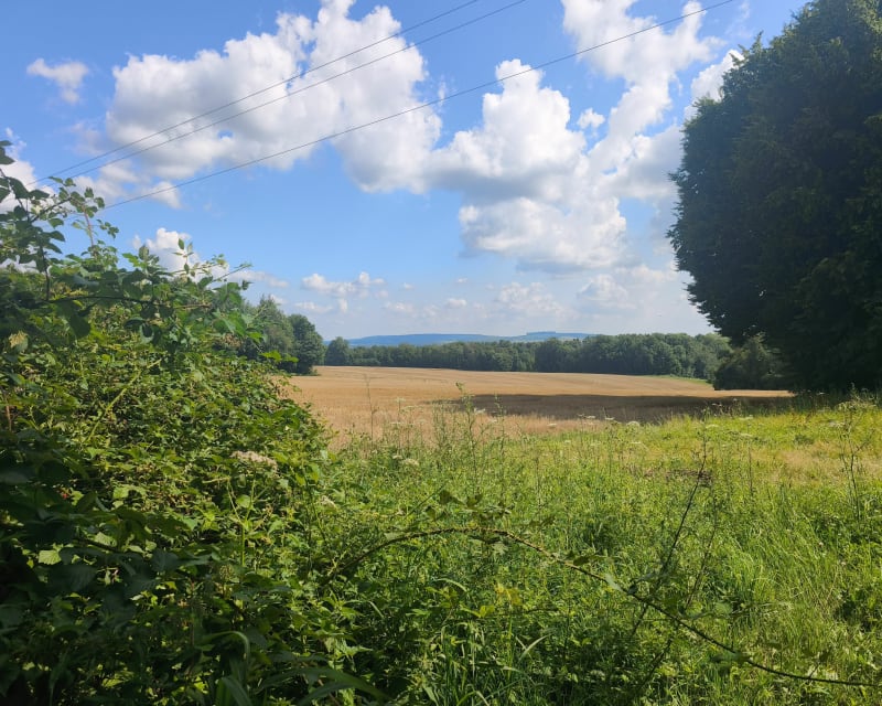 Vallée de Chausson et la Roche - Vrigne aux Bois