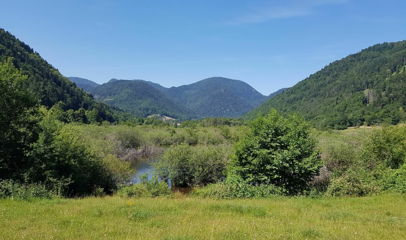 Le tour du lac de Kruth, depuis Cernay - Cernay