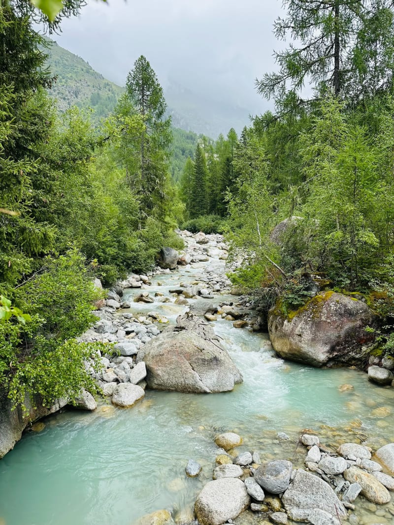 Belle randonnée vers Argentière - Chamonix-Mont-Blanc