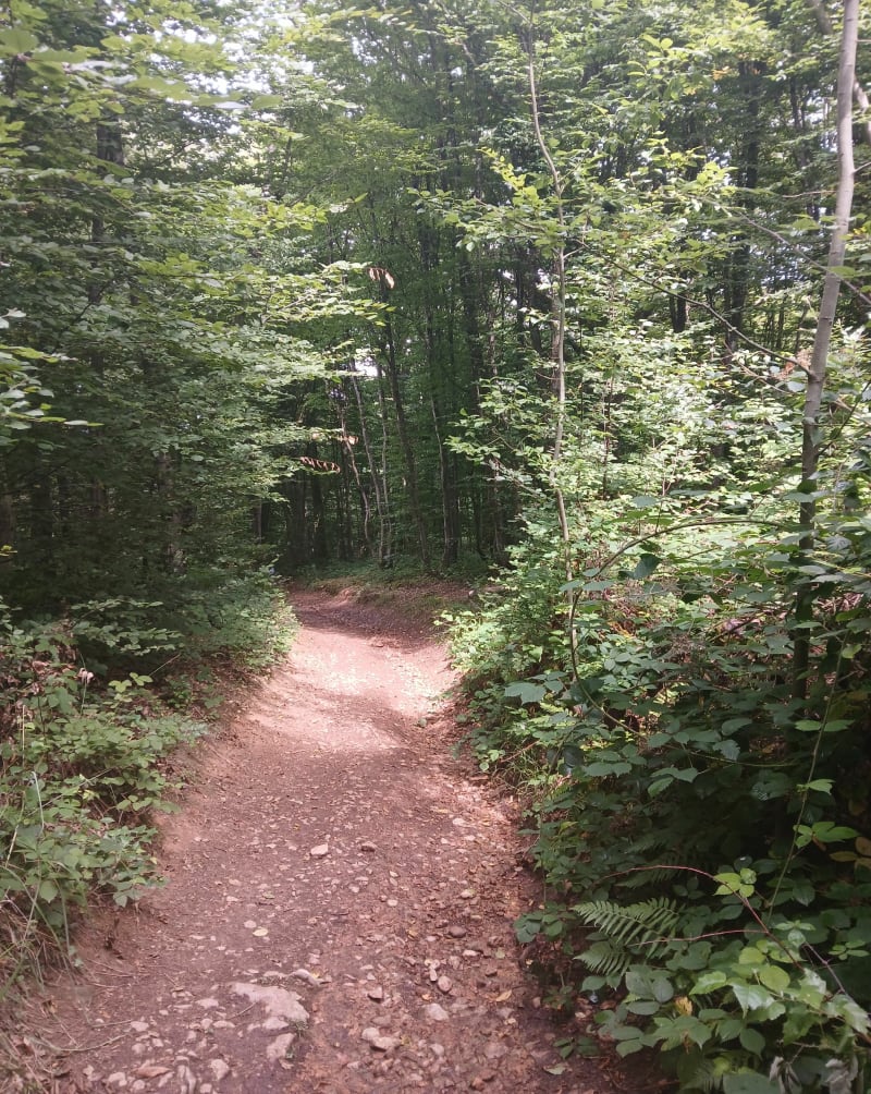 Balade en famille à la roche d'Aujoux - Nanton