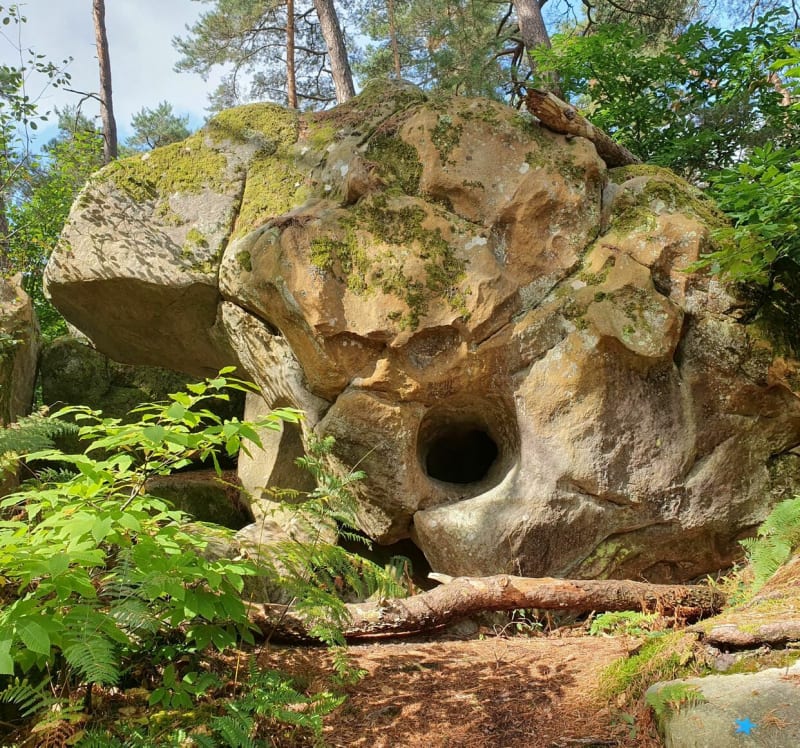 Chemin de randonnée du Rocher d'Avon, numéro 10 de Fontainebleau - Fontainebleau