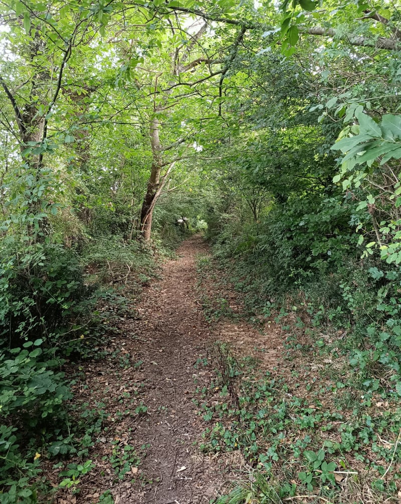 Balade entre Pluherlin et Rochefort-en-Terre - Pluherlin