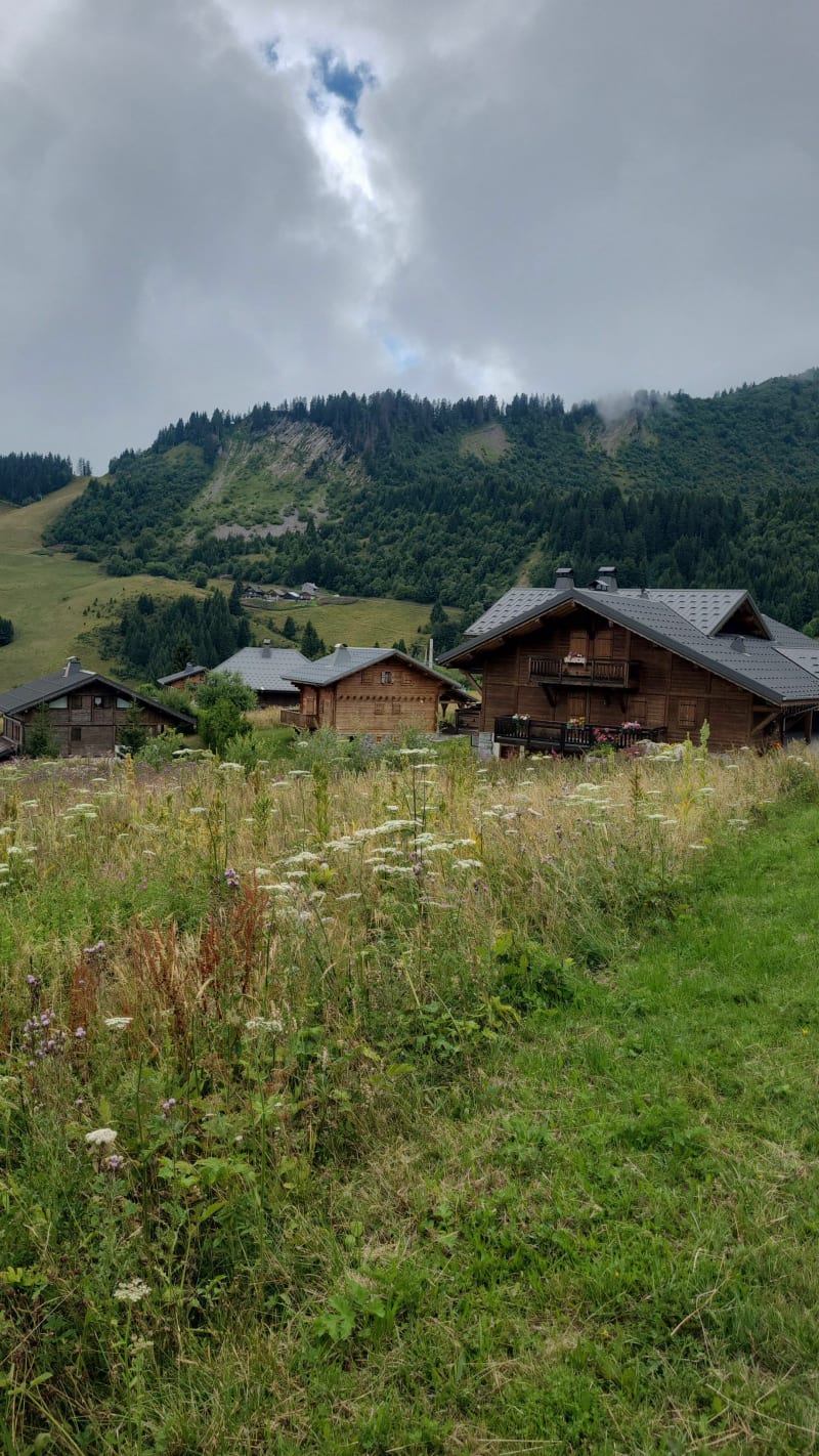 Praz les Lys et la Savolière - Taninges