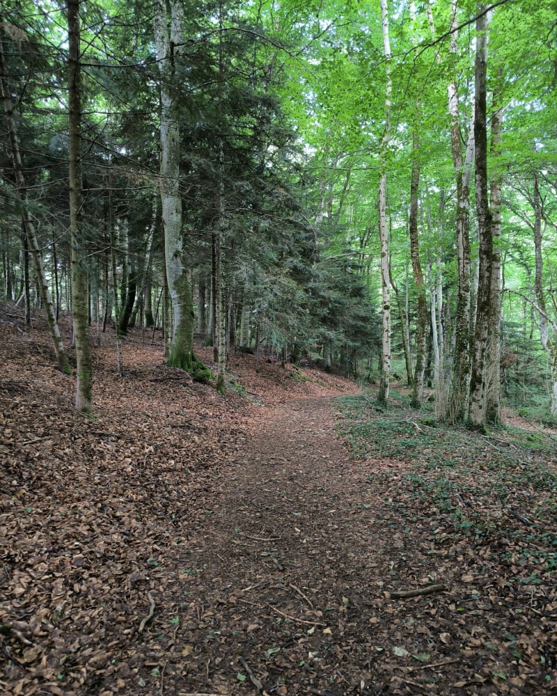 Promenade du souterrain et Bois de Malgorce - Saint-Martin-Valmeroux